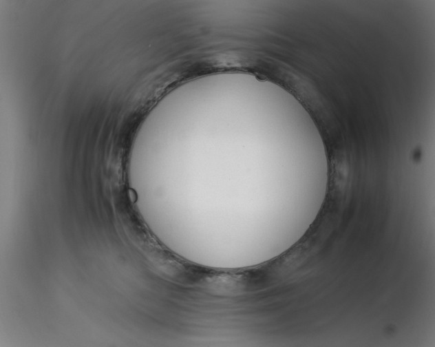 X0000116370422200912231320