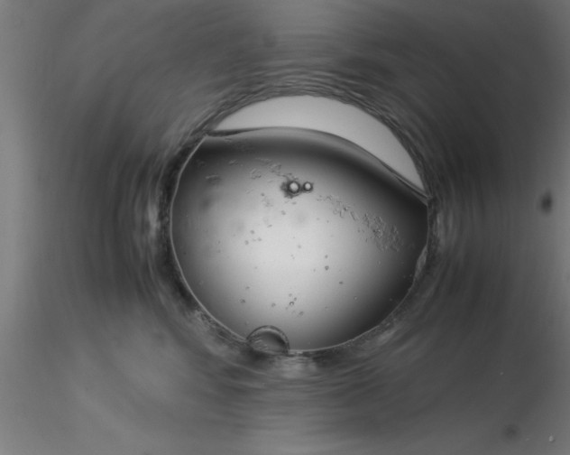 X0000116370424200912231320