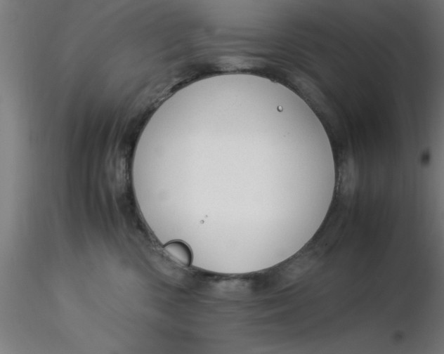 X0000116370426200912231320