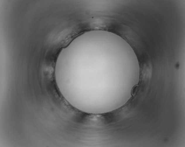 X0000116370427200912231320