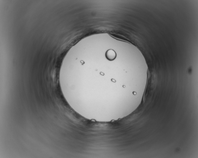 X0000116370428200912231320