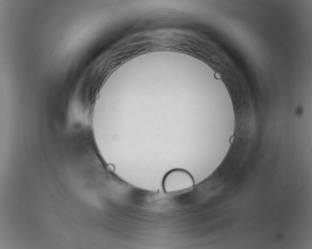 X0000116370431200912231320