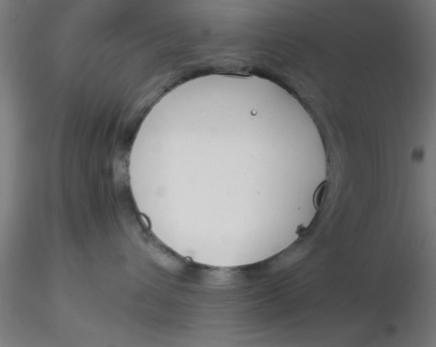 X0000116370432200912231320