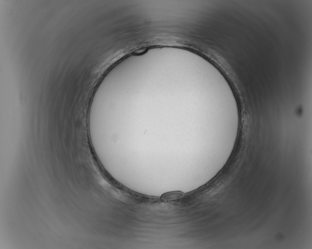 X0000116370433200912231319