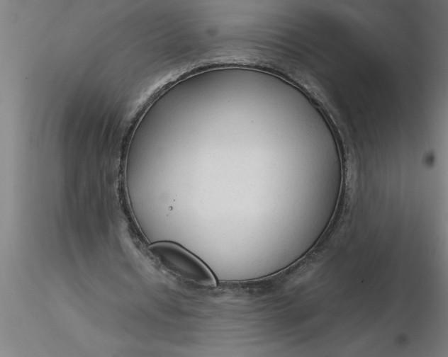 X0000116370434200912231319