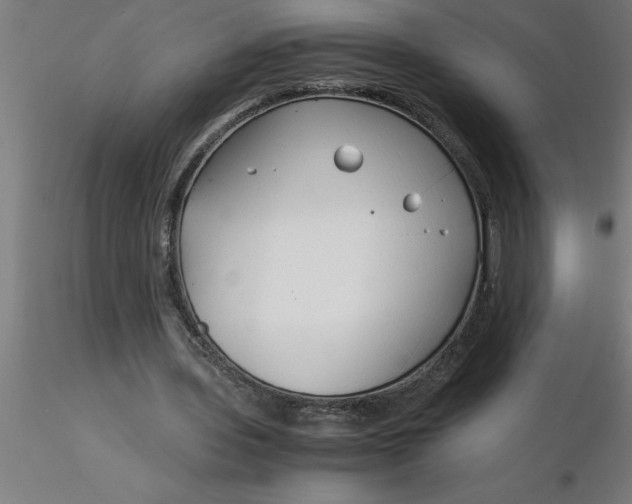 X0000116370435200912231319