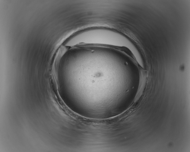 X0000116370436200912231319