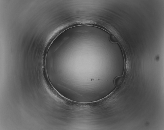 X0000116370438200912231319