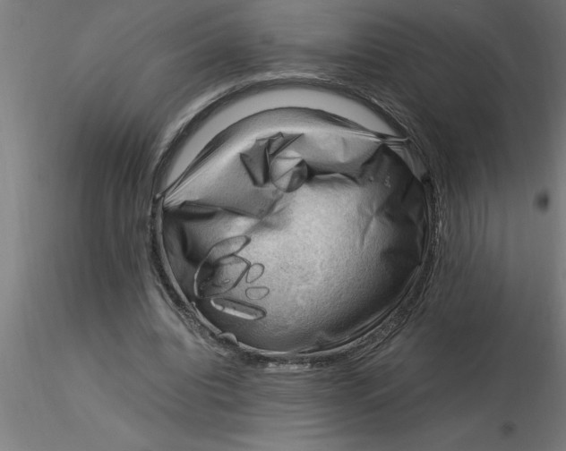 X0000116370440200912231319