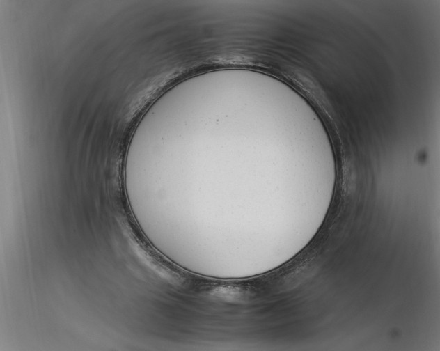 X0000116370441200912231319