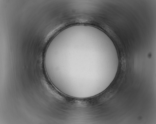 X0000116370442200912231319