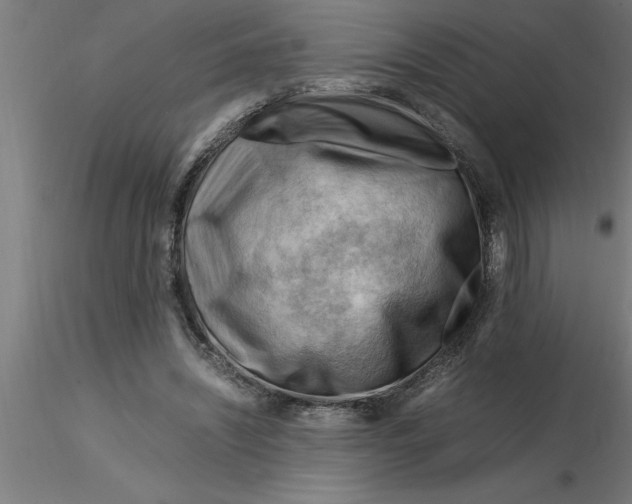 X0000116370444200912231319