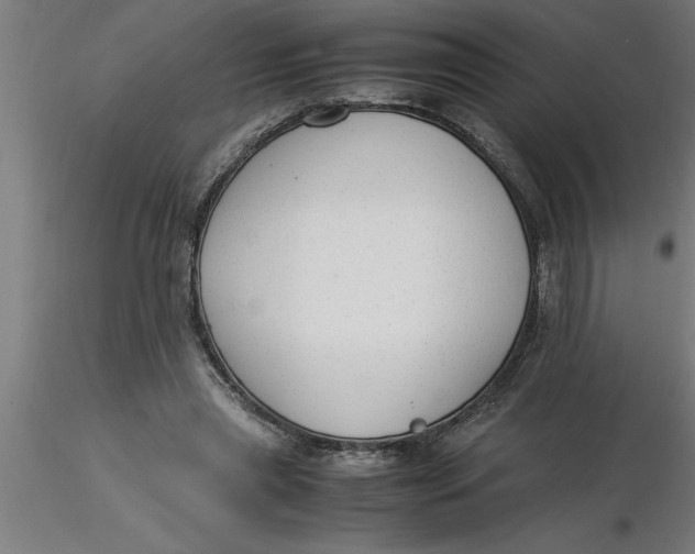 X0000116370445200912231319