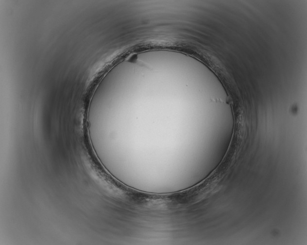 X0000116370446200912231319