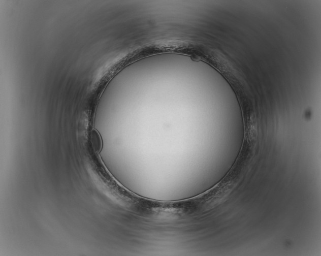 X0000116370448200912231319