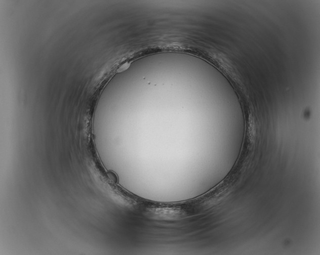 X0000116370449200912231319