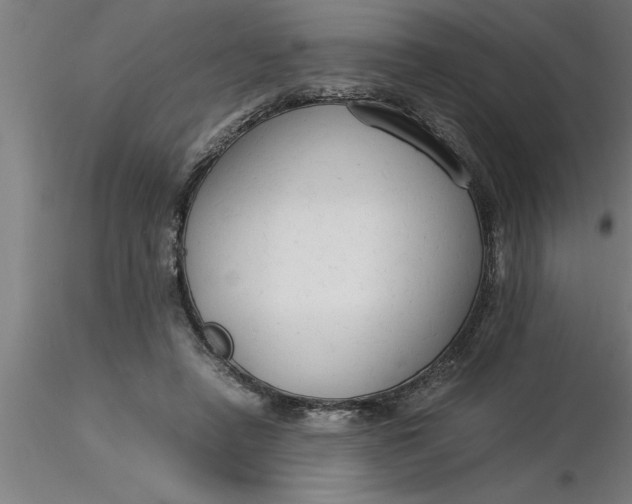 X0000116370450200912231319