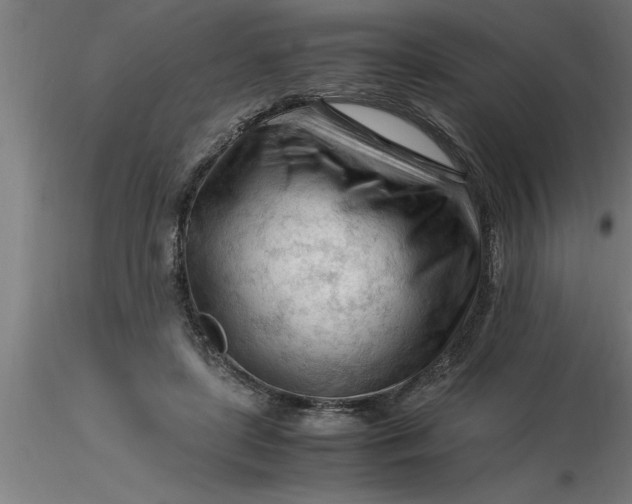 X0000116370451200912231319