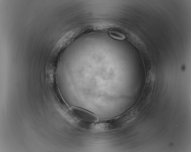 X0000116370452200912231319