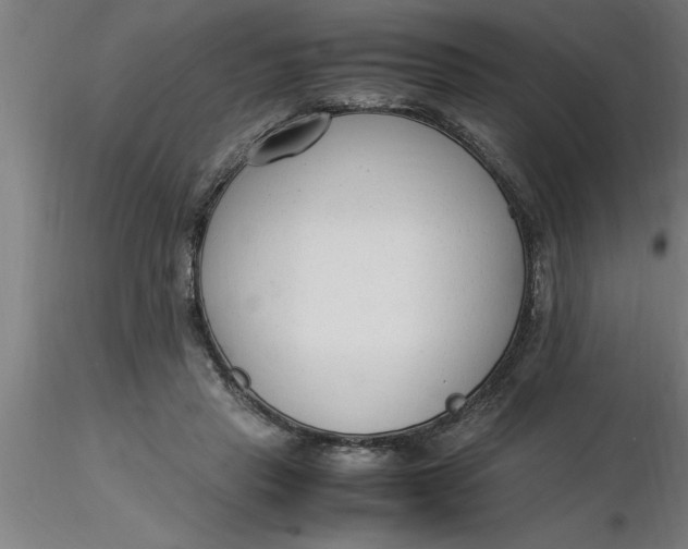 X0000116370453200912231319