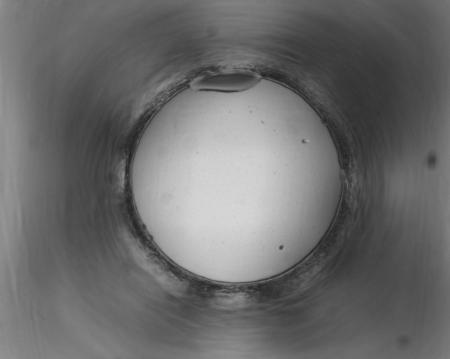 X0000116370454200912231319