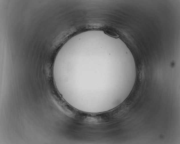 X0000116370455200912231319