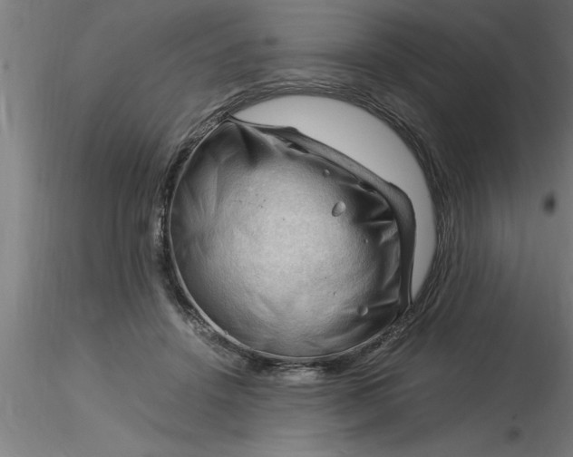 X0000116370456200912231319