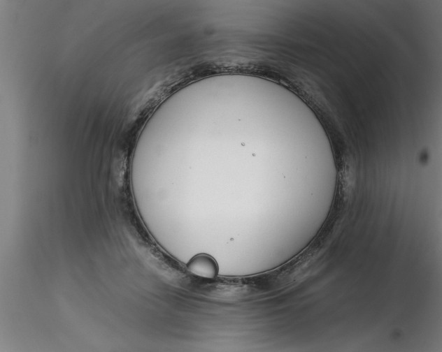 X0000116370458200912231319