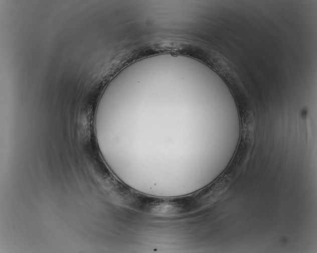 X0000116370460200912231319