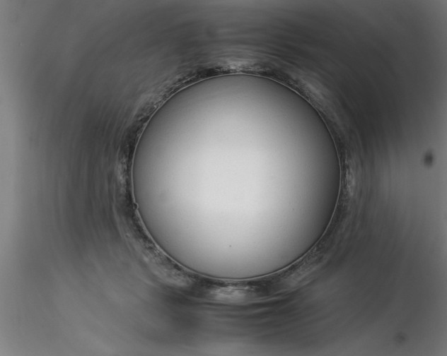 X0000116370461200912231319