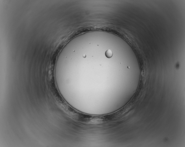 X0000116370462200912231319