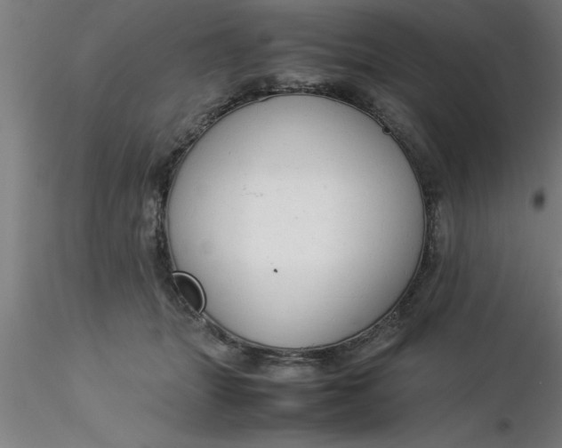 X0000116370463200912231319