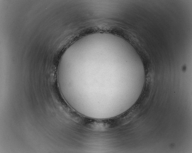 X0000116370464200912231319