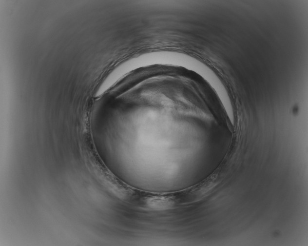 X0000116370465200912231319