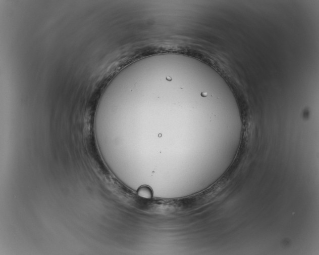 X0000116370466200912231319