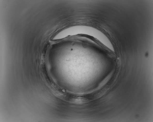 X0000116370467200912231319