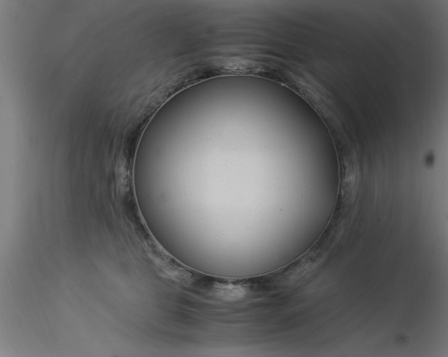 X0000116370469200912231319