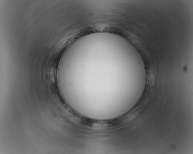 X0000116370470200912231319