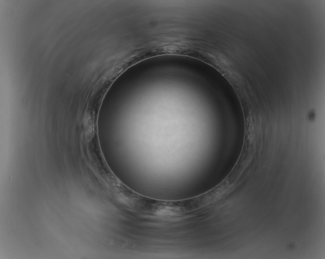 X0000116370471200912231319