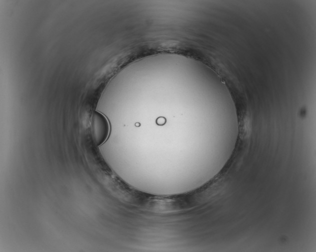 X0000116370472200912231319