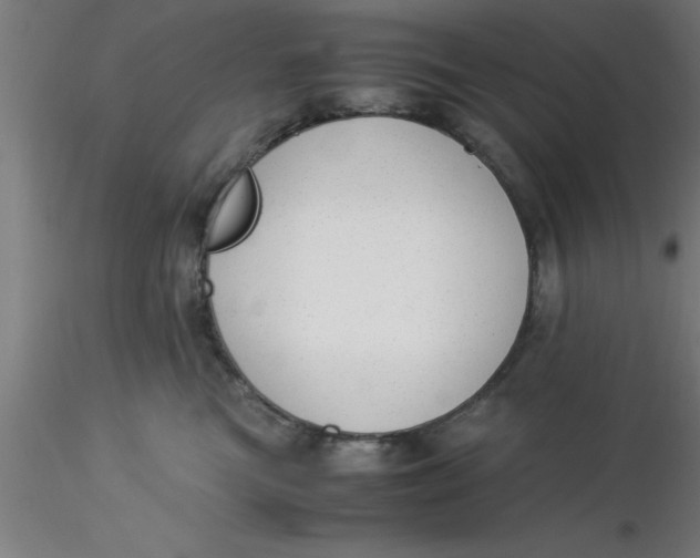 X0000116370473200912231319