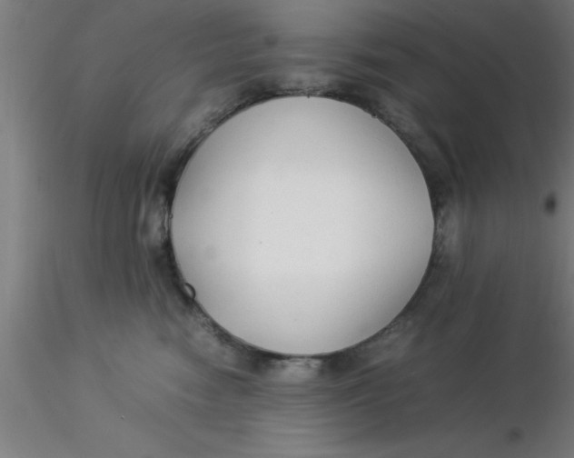 X0000116370474200912231319