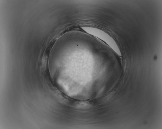 X0000116370475200912231319