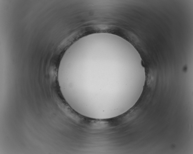 X0000116370476200912231319