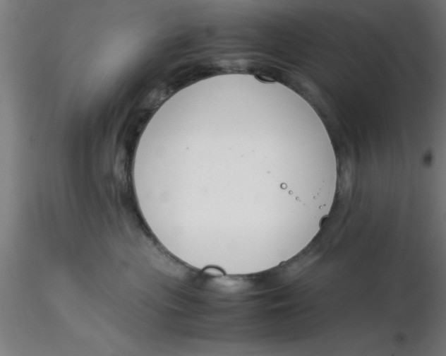 X0000116370477200912231319