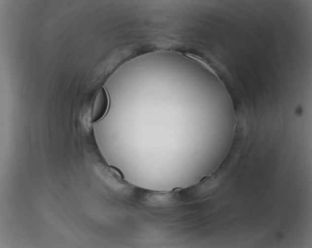 X0000116370479200912231319