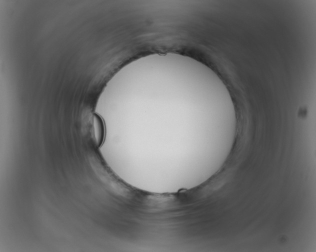 X0000116370480200912231320