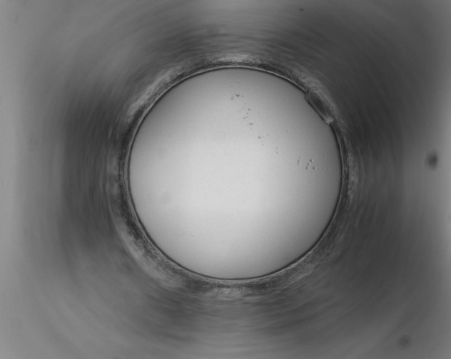 X0000116370482200912231319