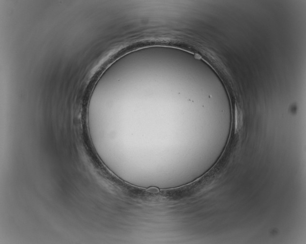 X0000116370483200912231319