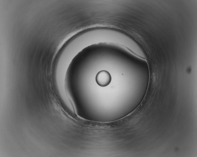 X0000116370484200912231319